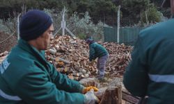AĞAÇ ATIKLARI İHTİYAÇ SAHİPLERİ İÇİN KARA KIŞTA YAKACAĞA DÖNÜŞÜYOR