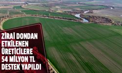 Aydın'da zirai dondan etkilenen üreticilere destek yapıldı!