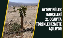Aydın’ın İlek Bahçeleri 21 Ocak’ta törenle hizmete açılıyor