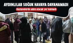 Aydınlılar soğuk havaya dayanamadı!