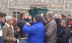 Aydın'da asırlık çınar 107 yaşında hayata veda etti