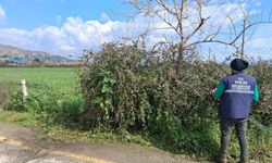 Efeler’in yeşil alanlarında temizlik çalışması sürüyor