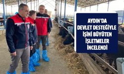 Devlet desteğiyle işini büyüten işletmeler incelendi