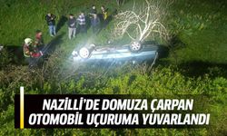 Nazilli'de domuza çarpan otomobil uçuruma yuvarlandı