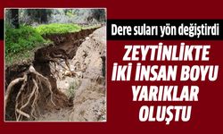 Aydın'da dere suları yön değiştirdi!