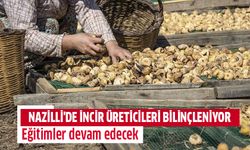 Nazilli'de incir üreticileri bilinçleniyor
