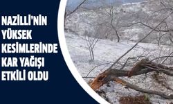 Nazilli’nin yüksek kesimlerinde kar yağışı etkili oldu