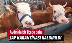Ayın'da bir ilçede daha şap karantinası kaldırıldı!
