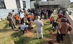 Köşk'te fidanlar toprakla buluştu