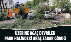 Üzerine ağaç devrilen park halindeki araç zarar gördü