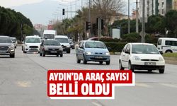 Aydın'da araç sayısı belli oldu!