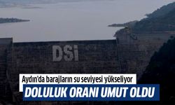 Aydın'da barajların su seviyesi yükseliyor