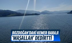 Kemer Barajı’nda sevindiren görüntü