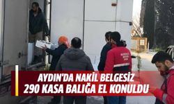Aydın'da nakil belgesiz 290 kasa balığa el konuldu