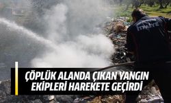 Çöplük alanda çıkan yangın ekipleri harekete geçirdi