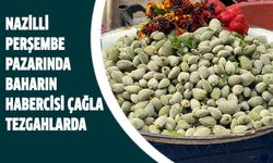 Nazilli Perşembe Pazarında baharın habercisi çağla tezgahlarda