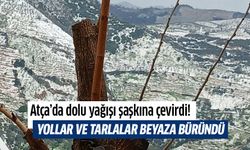 Atça’da dolu yağışı şaşkına çevirdi!