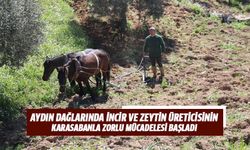 Toprağın tavı kaçmadan arazilerini işlemek isteyen çiftçiler zamanla yarışıyor