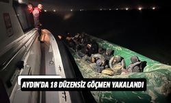 Aydın'da 18 düzensiz göçmen yakalandı