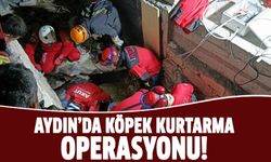 Aydın'da köpek kurtarma operasyonu!