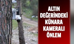 Altın değerindeki künara kameralı önlem