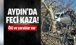 Bozdoğan'da feci kaza!