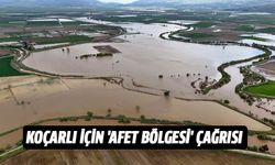 Koçarlı için 'afet bölgesi' çağrısı