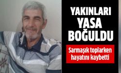 Sarmaşık toplarken hayatını kaybetti