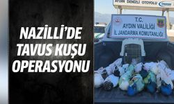 Nazilli’de tavus kuşu operasyonu