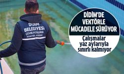 Didim'de vektörle mücadele dört mevsim sürüyor