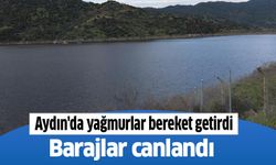 Aydın'da yağmurlar bereket getirdi, barajlar canlandı