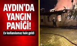 Aydın'da ev yangını korkuttu!