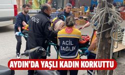 Ekipler yaşlı kadını kurtarmak için seferber oldu