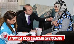 Aydın’da yaşlı çınarlar unutulmadı