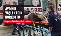 Aydın'da yaşlı kadın korkuttu!