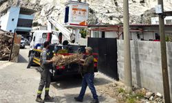 Sazlı’da leylekler yeni yuvasına kavuştu