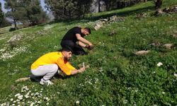 Koparmanın cezası araba parası