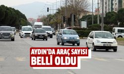 Aydın'da araç sayısı belli oldu!