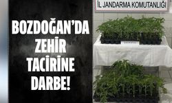 Bozdoğan'da zehir tacirine darbe!