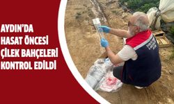 Aydın’da hasat öncesi çilek bahçeleri kontrol edildi