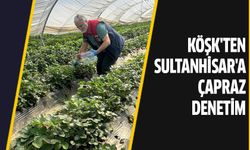 Çilekte hasat öncesi pestisit kontrolü