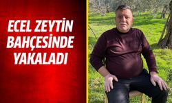 Ecel zeytin bahçesinde yakaladı!