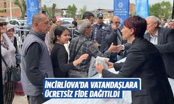 İncirliova’da vatandaşlara ücretsiz fide dağıtıldı