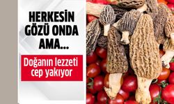 Doğanın lezzeti cep yakıyor