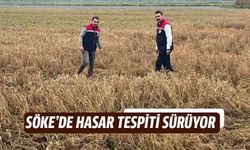 Söke’de sel sonrası tarım arazilerinde hasar tespiti sürüyor