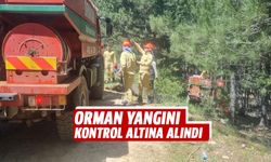 Orman yangını kontrol altına alındı