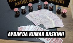 Aydın'da 4 işletmeye kumar baskını!