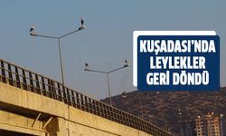 Kuşadası’nda leylekler geri döndü