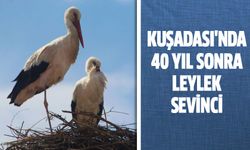 Kuşadası'nda 40 yıl sonra leylek sevinci