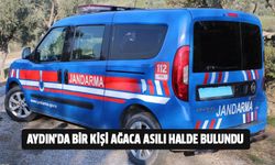 Aydın'da korkunç manzara!